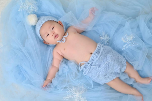 临沂宝宝树怎么样 临沂宝宝树怎么样